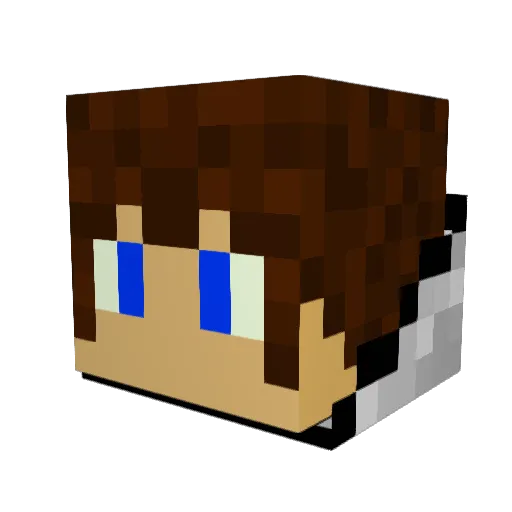 grinwis14 Minecraft avatar head, 3D render