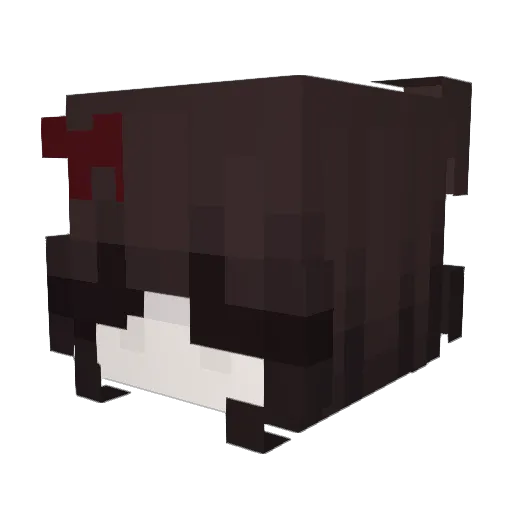 grisell Minecraft avatar head, 3D render