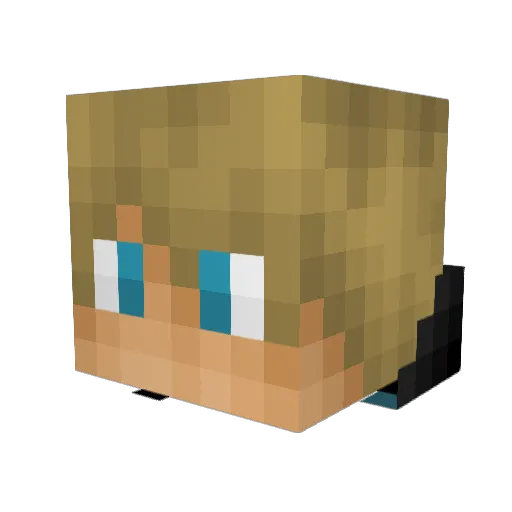 grizzlePGP Minecraft avatar head, 3D render