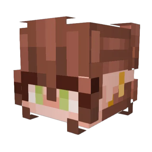 grm1220 Minecraft avatar head, 3D render
