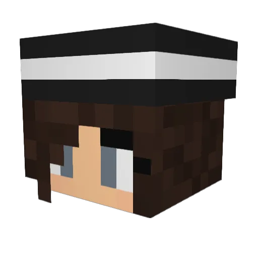 groktaron Minecraft avatar head, 3D render