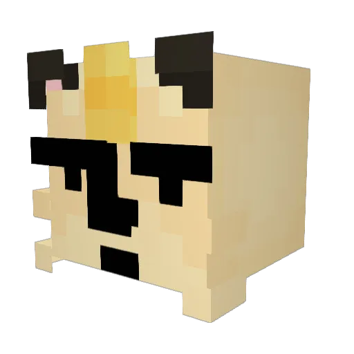 gromit06 Minecraft avatar head, 3D render
