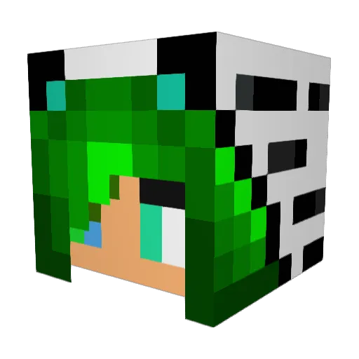 gronnfrosk Minecraft avatar head, 3D render