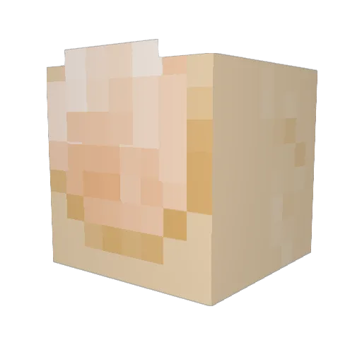 grose__ Minecraft avatar head, 3D render