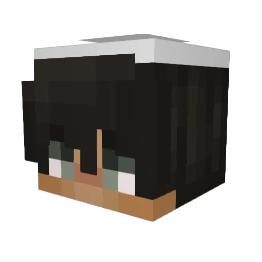 grossi711 Minecraft avatar head, 3D render