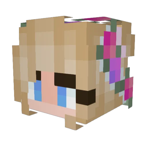grotty11 Minecraft avatar head, 3D render