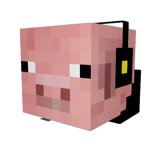 groundedapplepig Minecraft avatar head, 3D render
