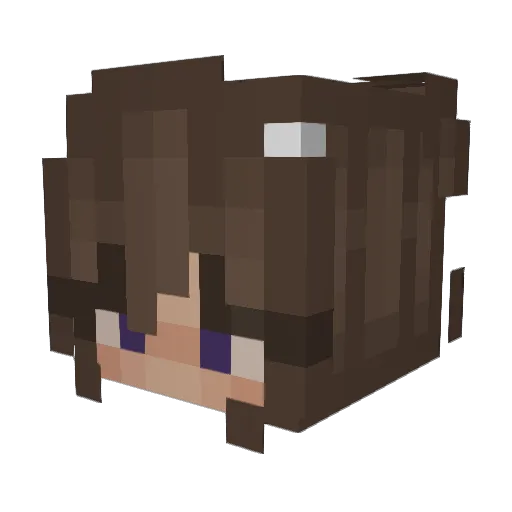 gruendliche Minecraft avatar head, 3D render