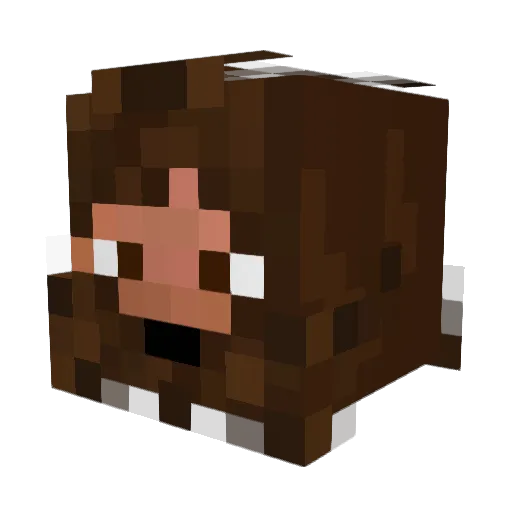 grug___ Minecraft avatar head, 3D render