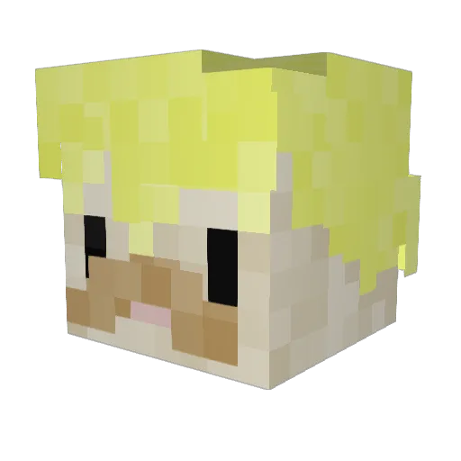 grumbo200 Minecraft avatar head, 3D render