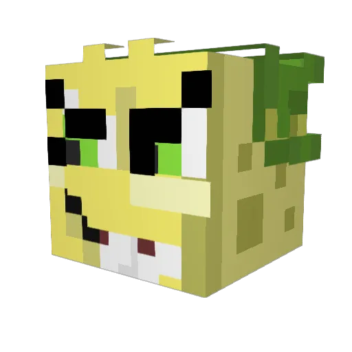 grumpycat1952 Minecraft avatar head, 3D render