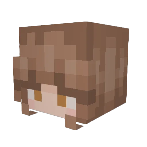 grunccc Minecraft avatar head, 3D render