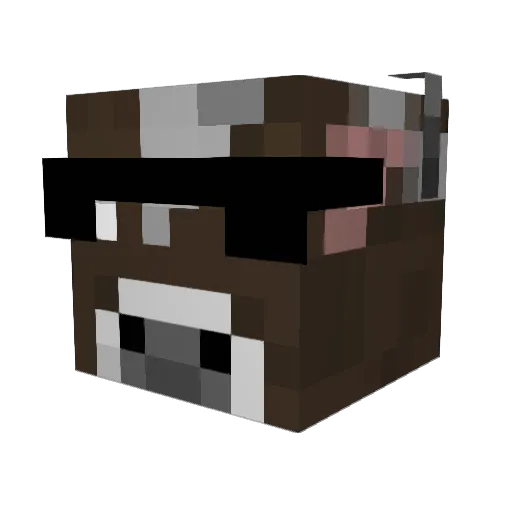gruntingplum Minecraft avatar head, 3D render