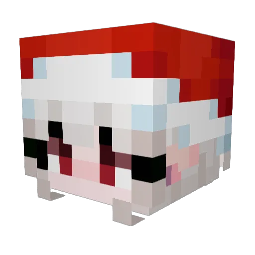 grutzy00 Minecraft avatar head, 3D render