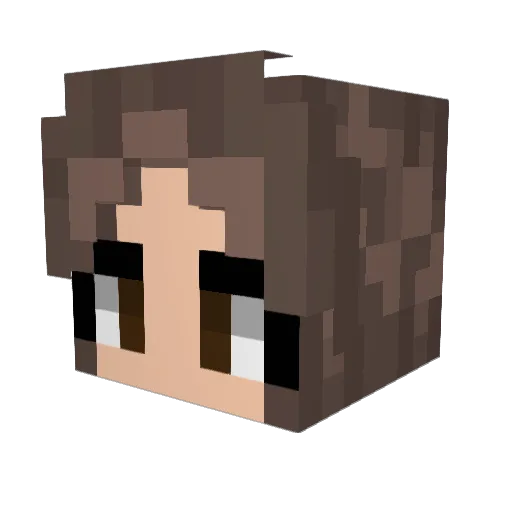 grwt4_ Minecraft avatar head, 3D render