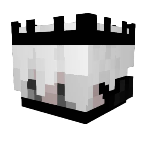 grzesiu_floryda Minecraft avatar head, 3D render