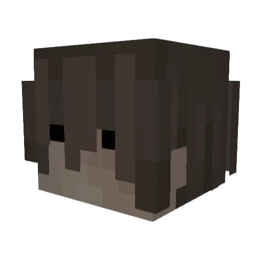 gshocker Minecraft avatar head, 3D render