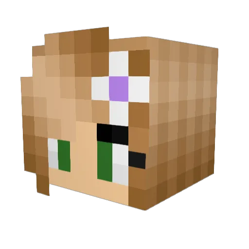 gta015 Minecraft avatar head, 3D render