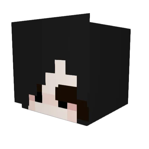 gtrrrrrrrrr Minecraft avatar head, 3D render
