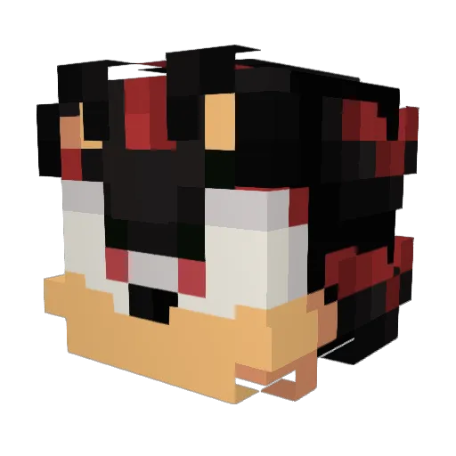 gtwick25 Minecraft avatar head, 3D render