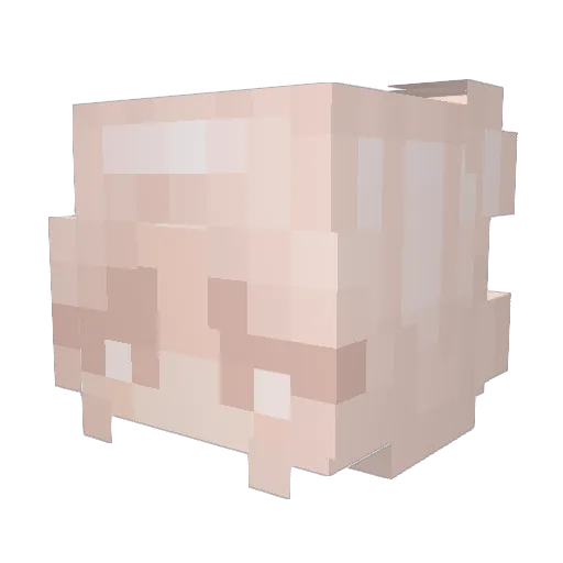 guacamolliee Minecraft avatar head, 3D render