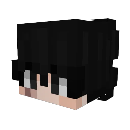 guaccypoo Minecraft avatar head, 3D render