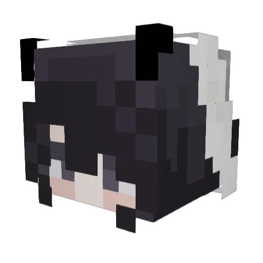 guaguaXN Minecraft avatar head, 3D render