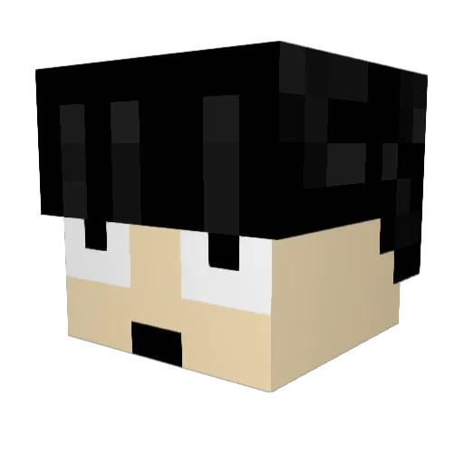 guardedwall Minecraft avatar head, 3D render