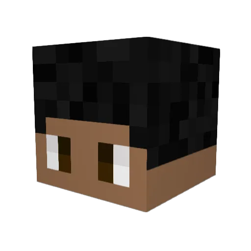 guasnoki Minecraft avatar head, 3D render