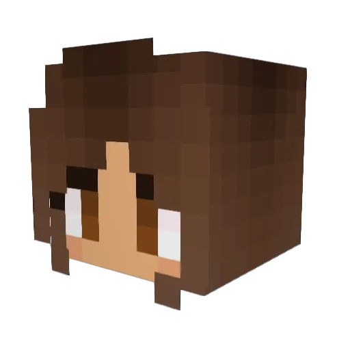 gubbgubbz Minecraft avatar head, 3D render