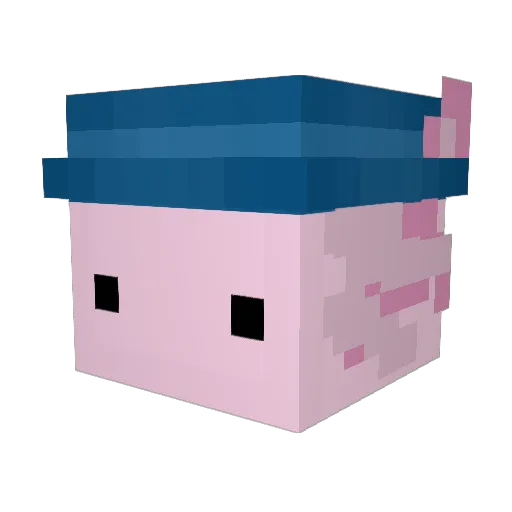 gucc11 Minecraft avatar head, 3D render