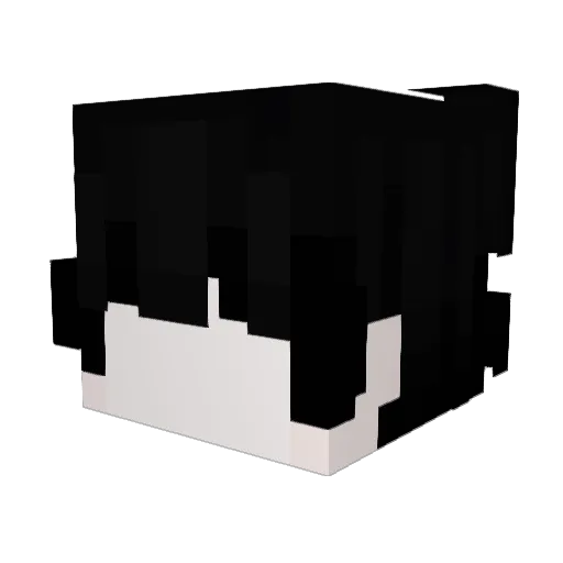 guchiporroo Minecraft avatar head, 3D render