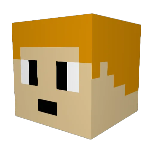 gucio009 Minecraft avatar head, 3D render
