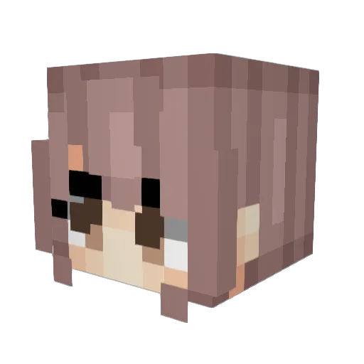 gudog Minecraft avatar head, 3D render