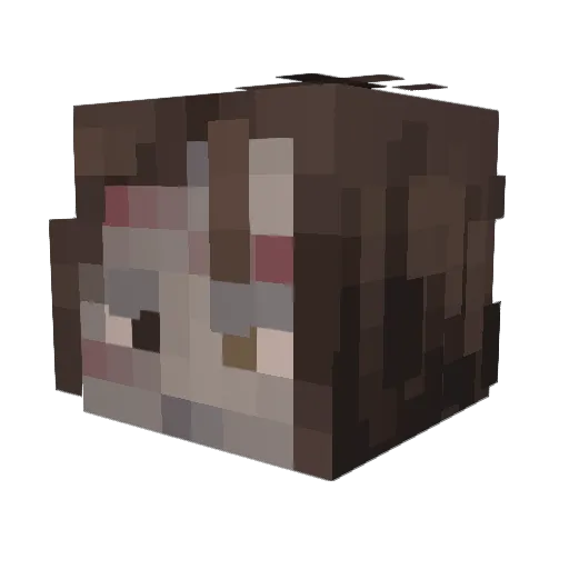 gueroConHuevos Minecraft avatar head, 3D render