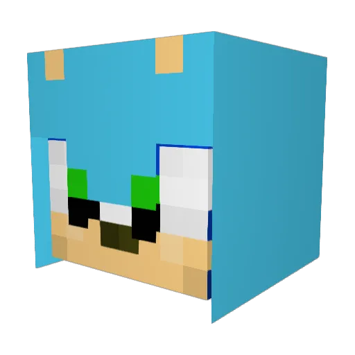 guesswho311 Minecraft avatar head, 3D render