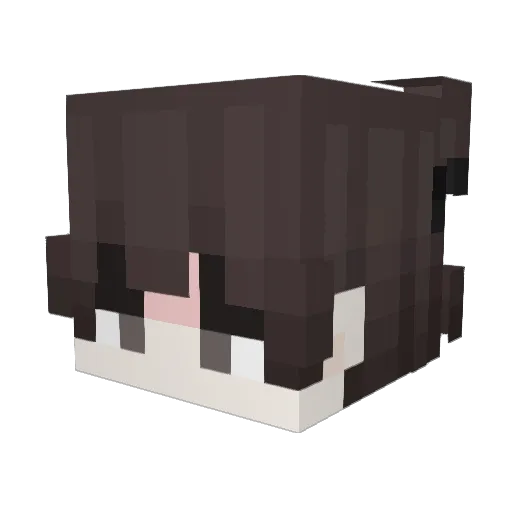 gugubirds Minecraft avatar head, 3D render