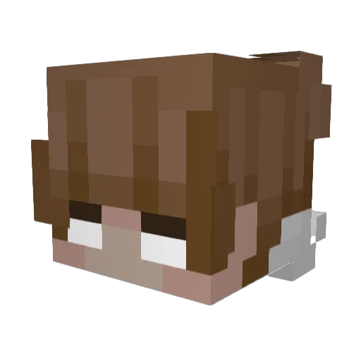 guillefile Minecraft avatar head, 3D render