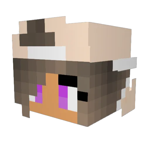 gulfbreezy Minecraft avatar head, 3D render