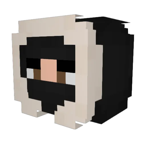guloso_ Minecraft avatar head, 3D render