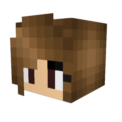 gummikoalas Minecraft avatar head, 3D render