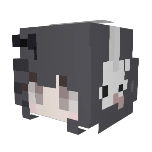 gundal777 Minecraft avatar head, 3D render