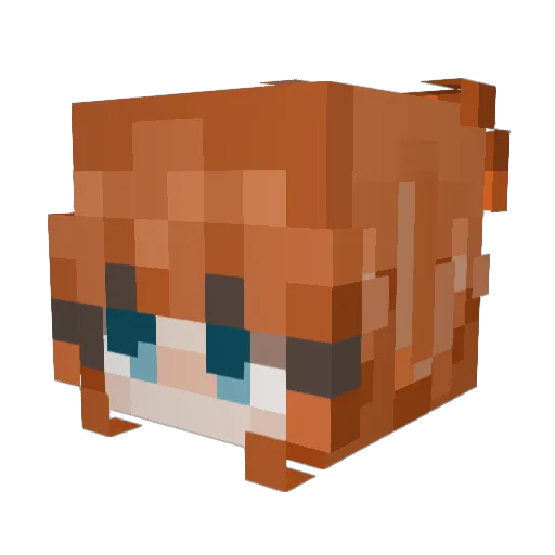 gunfilgeur Minecraft avatar head, 3D render