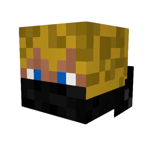 gunguy58 Minecraft avatar head, 3D render
