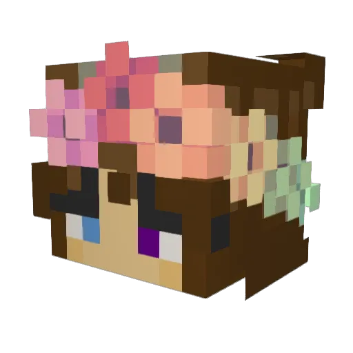gunicat Minecraft avatar head, 3D render