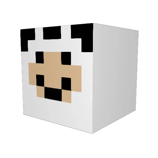 gunnarboy1111 Minecraft avatar head, 3D render