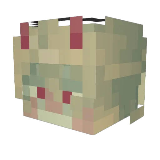 gunsafetymanual Minecraft avatar head, 3D render