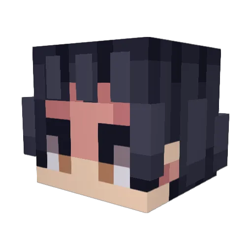 gurfsplurf69 Minecraft avatar head, 3D render