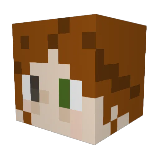 gurteltiere Minecraft avatar head, 3D render
