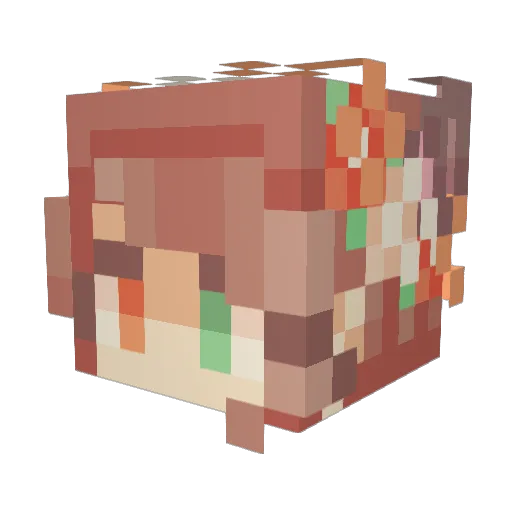 gurtletirl Minecraft avatar head, 3D render